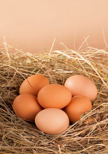 Pile of brown eggs in a nest