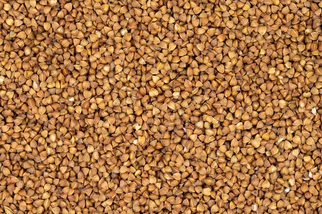 pile of buckwheat grains as background spice or seasoning as background closeup buckwheat