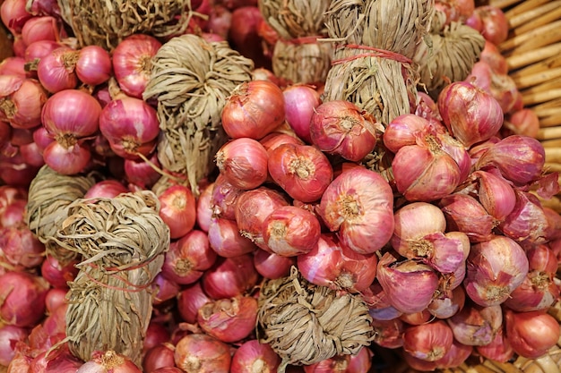 Pile of Bunches of Fresh Red Small Onions in a Basket