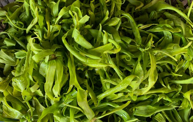 A pile of cananga odorata flowers, known as the cananga