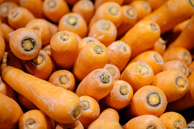 Pile of carrots in maket