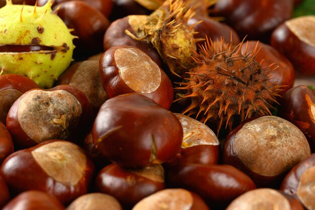 Photo a pile of chestnuts and a bunch of bananas