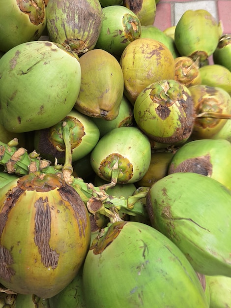 a pile of coconuts with the word " on them ".