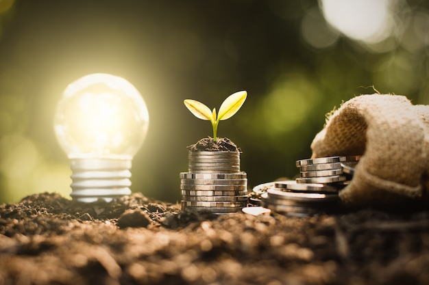 Pile of coins with plant and light bulb