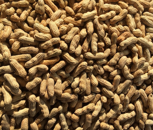 pile of cooked steamed peanuts as seen from above