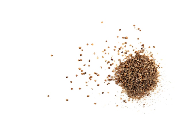 Pile of coriander seeds isolated on white background