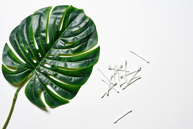 Pile of cotton swabs and tropical palm leaf