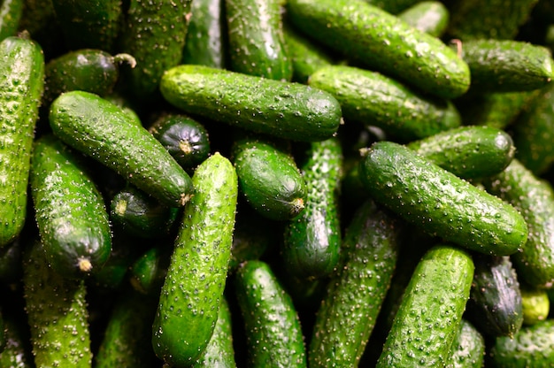 A pile of cucumbers background