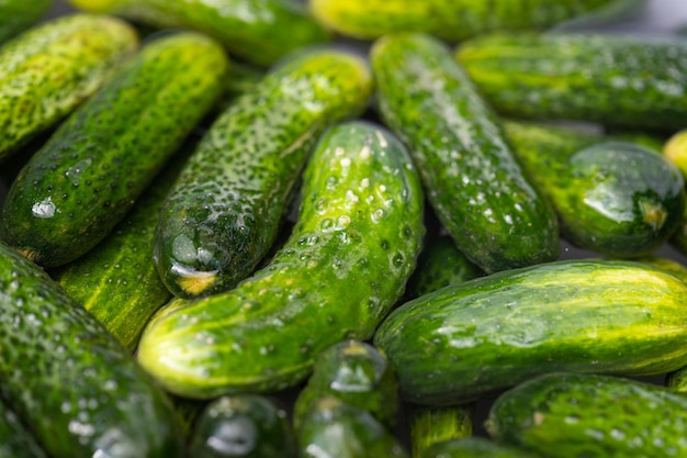 A pile of cucumbers with the word cucumber on it