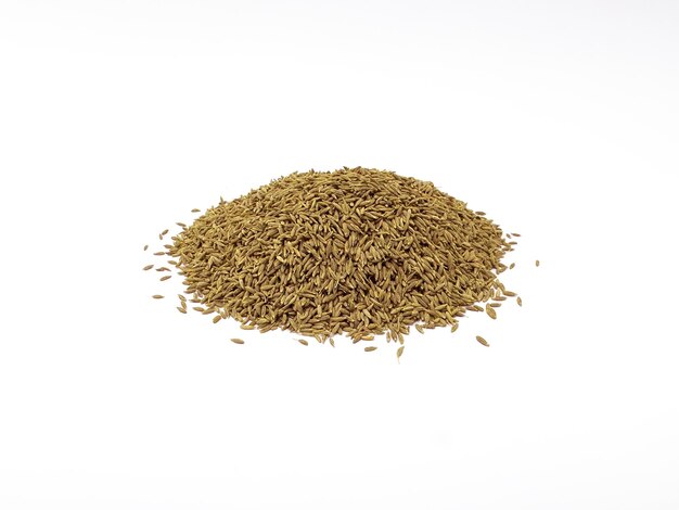 Photo a pile of cumin seeds on a white background