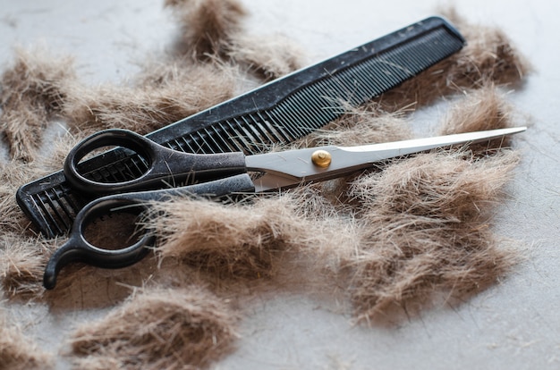 Pile of cut hair, scissors for haircuts and comb. Tools for haircuts.