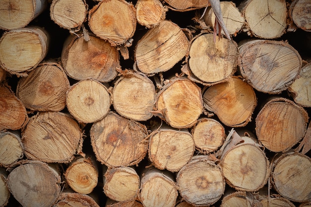 Foto mucchio della struttura tagliata del ceppo di legno del taglio