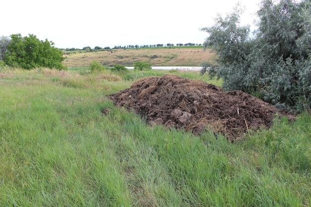 Photo a pile of dirt in a grassy field