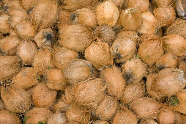 Pile of discarded coconut husks in Thailand