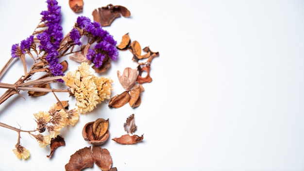 A pile of dried flowers and a bunch of walnuts on a white background