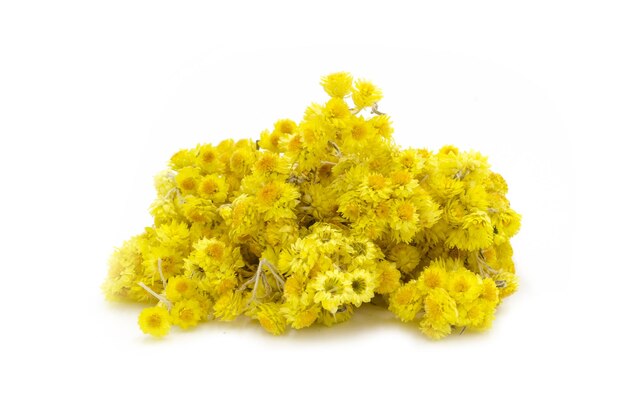 Pile of dried healthy Helichrysum arenarium flowers.