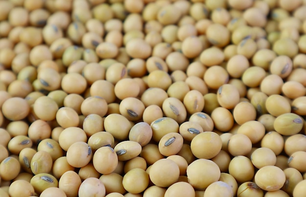 Pile of dried soybeans for backdrop