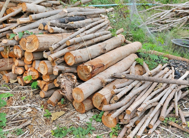 Pile of dry Firewood