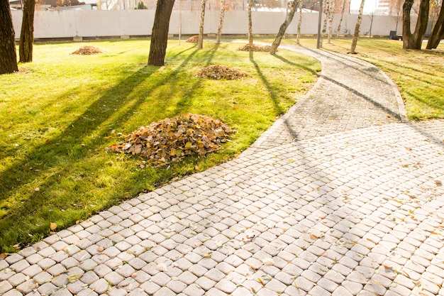 A pile of dry leaves on a green lawn, cleaning the surrounding area from autumn leaves. Fallen leaves are gathered in a pile on the green grass.