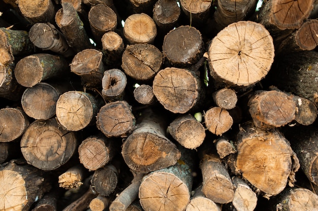 Un mucchio di alberi secchi segati. legna da ardere per la fornace o il camino.