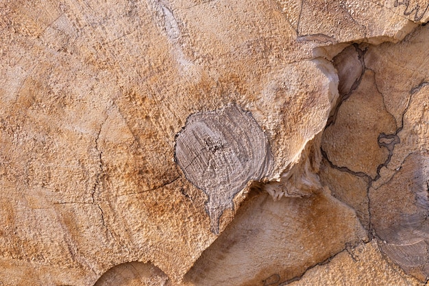 A pile of dry twigs as a background