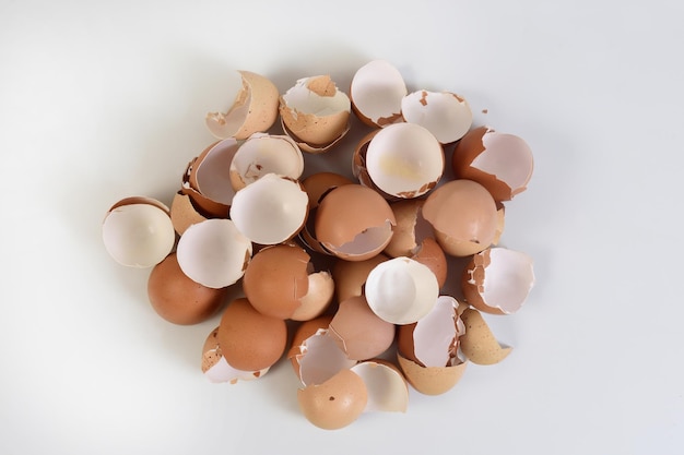 pile of eggshells on white background