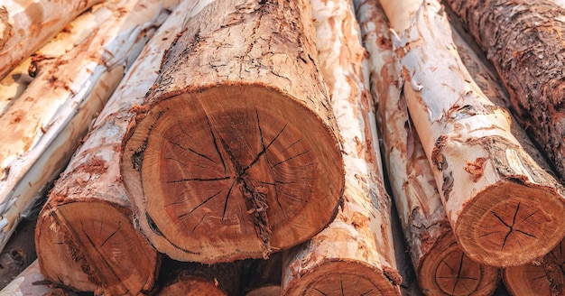 Pile of eucalyptus wood that has been cut processed and sold