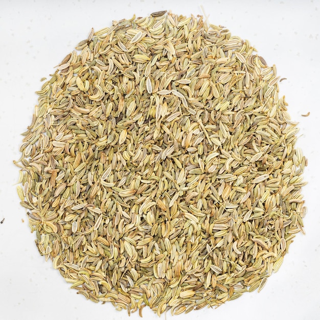Photo pile of fennel seeds on gray ceramic plate