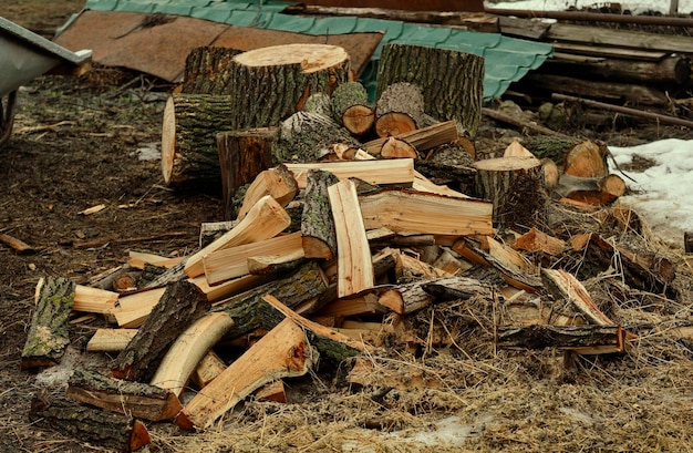 A pile of firewood on the ground natural texture and background