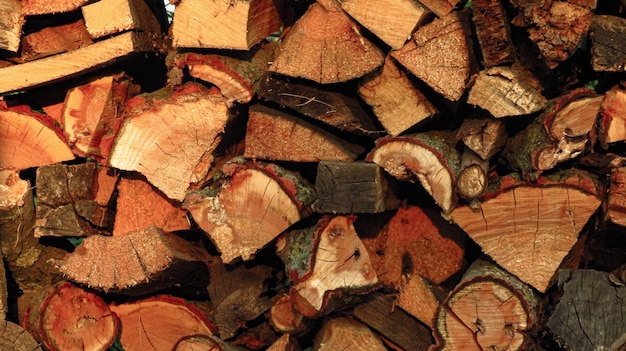 Pile of firewood texture and so beautifull