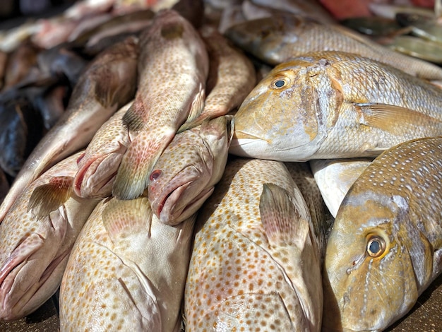 A pile of fish on a table