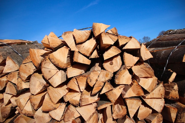 pile of fresh cut wood