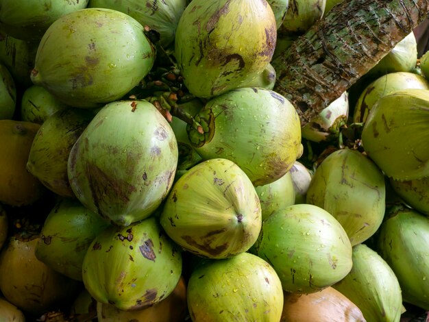 Foto un mucchio di giovani noci di cocco verdi fresche a yogyakarta, in indonesia