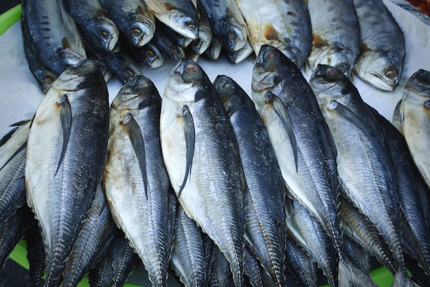 Куча свежей рыбы скумбрии на рынке