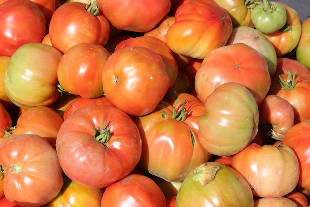 Pile of fresh and organic tomatoes