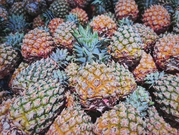 Pile of Fresh Pineapple Fruits for Sale