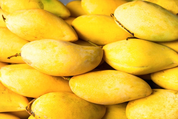 Mucchio di frutti di mango gialli maturi freschi alla bancarella del mercato può essere utilizzato come sfondo di cibo sano