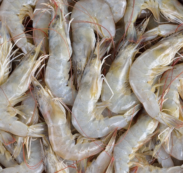 Photo pile of fresh shrimps background