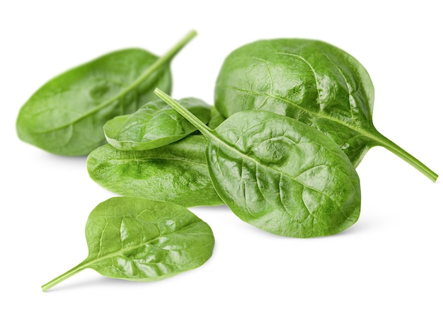 pile of fresh spinach leaves isolated on white background