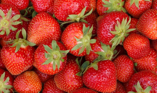 Photo pile of fresh strawberries as background