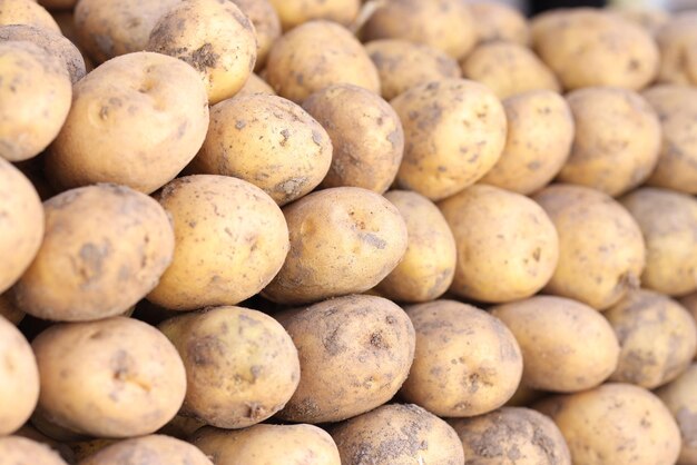 Pile of freshly dug potatoes at harvest time