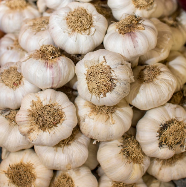 A pile of garlic that is on display