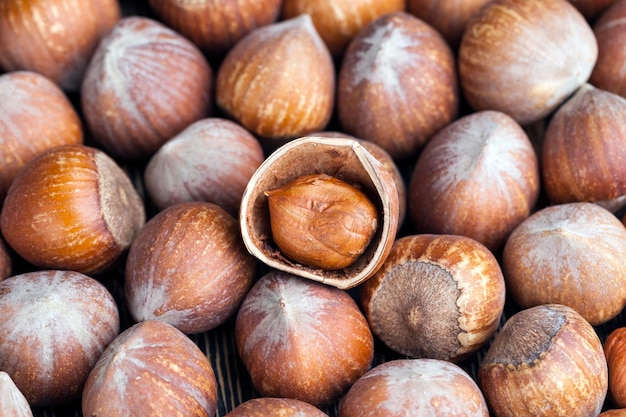 A pile of harvested hazelnuts on the table