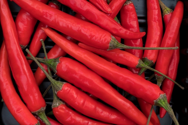 Pile of hot chili peppers.