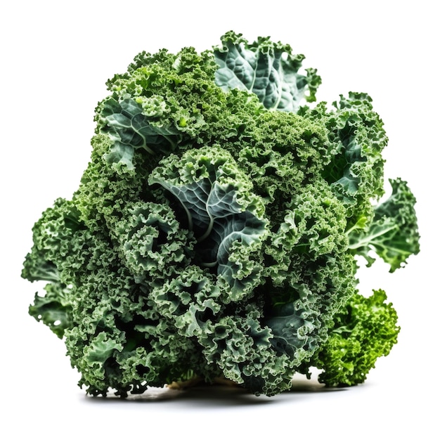 Photo a pile of kale leaves isolated in white background