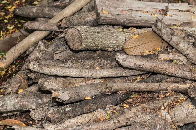 pile of leaves