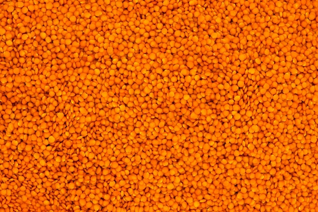 Pile of lentils on white background