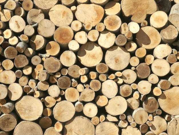 A pile of logs are stacked on a road in the woods.