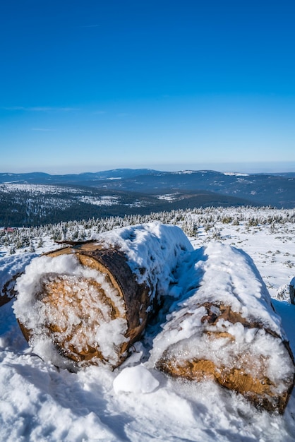 Photo a pile of logs covered in snow