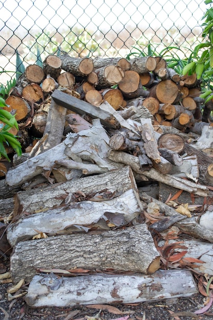 Pile of logs firewood outdoors